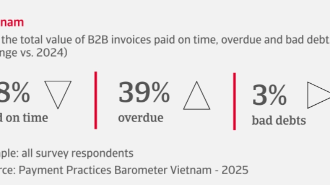 % of the total value of B2B invoices paid on time, overdue and bad debts in Vietnam
