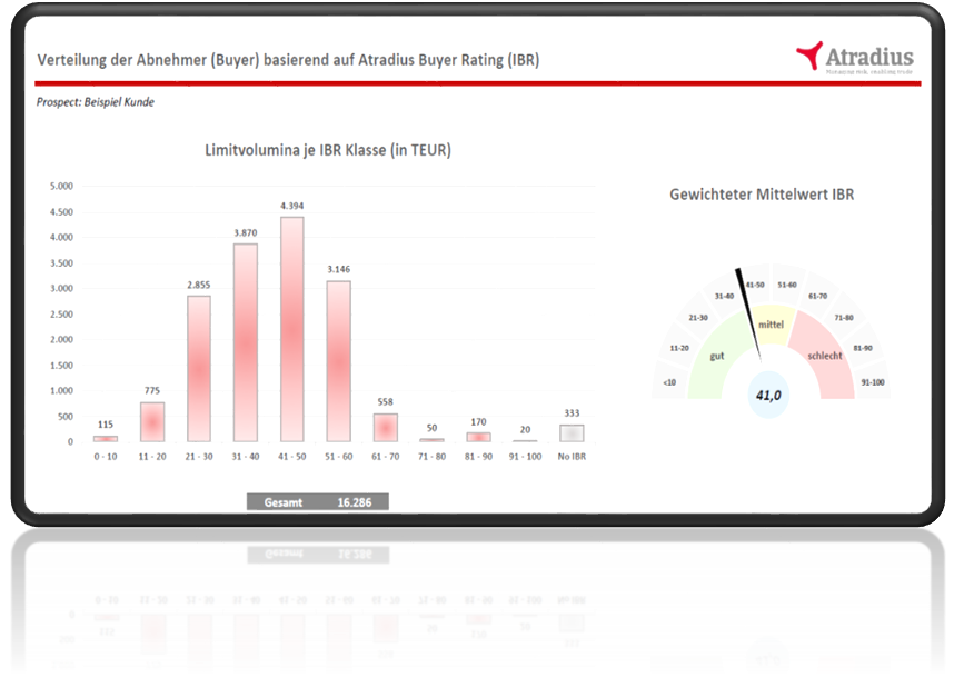 Screenshot Tablet View Atradius Portfolio Analyse